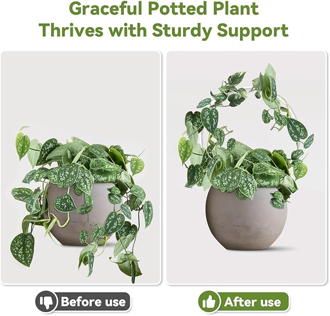 2 Pack Round Plant Trellis for Potted Plants Indoor Outdoor, Acrylic Small - Image 3