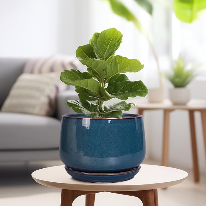 G EPGardening Ceramic Plant Pots - Image 4