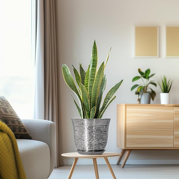 Ceramic Pots for Plants - Image 5