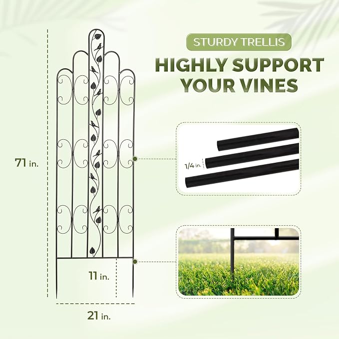 Idzo 71 in. Decorative Metal Trellis - Image 3