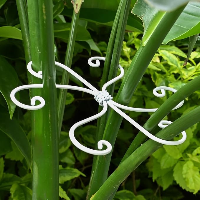 6.5 * 6.5in Monstera Plant Support Hook 5PCS by Yohsnor