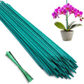 Bamboo Plant Stakes 50PCS, 18Inch Natural Bamboo Garden Stakes, Supports Indoor by HAINANSTRY