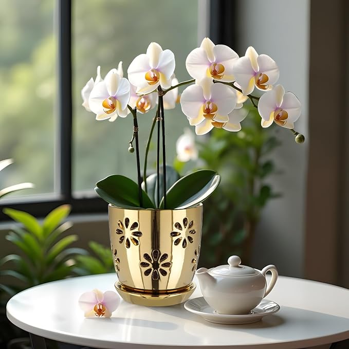 Oairse 6 inch Orchid Pots with Holes, Indoor Plant - Image 6