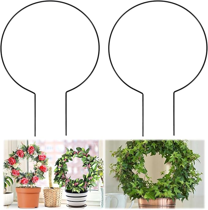 2 Pack Round Plant Trellis for Indoor Potted Plants, Acrylic Small Trellis for by Tyqour