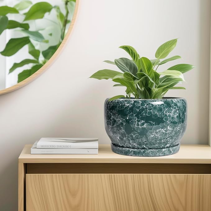 SQOWL 10 Inch Plant Pot - Image 7