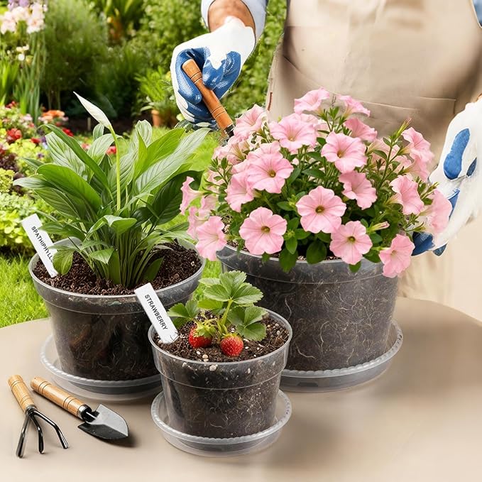 12 Pack 10/8/6 Inch Clear Nursery Pots - Image 5