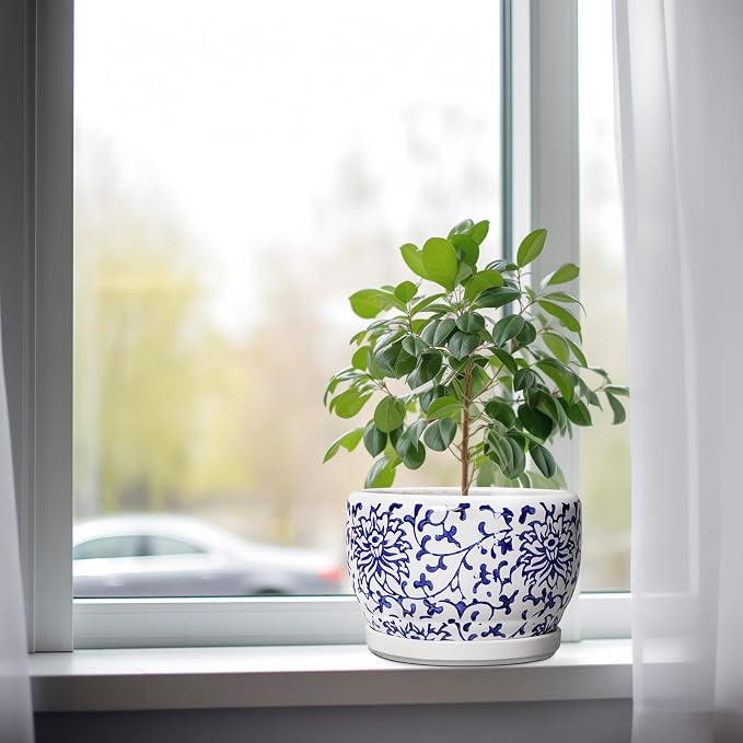 SQOWL Ceramic Pots for Plants - Image 4