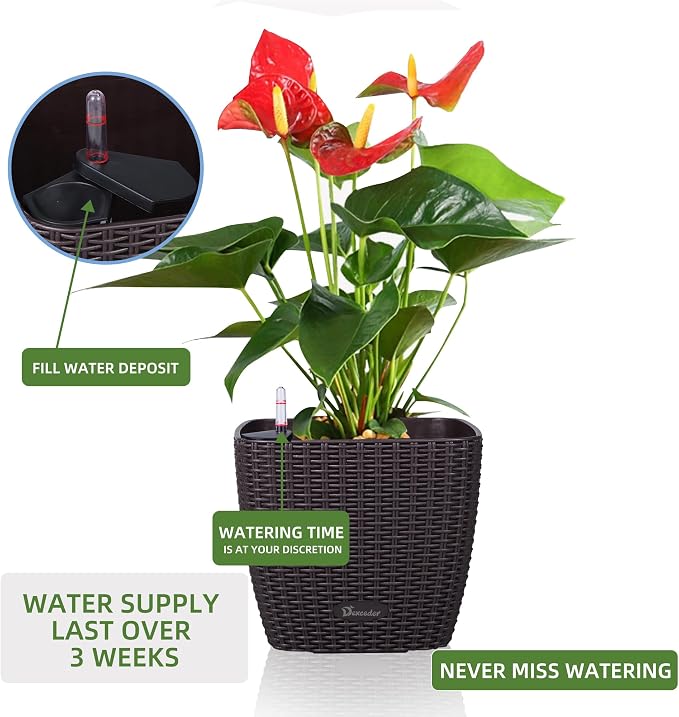 Dexceder 9x8 Self Watering Planter Indoor Outdoor, Inner Mat Design, Thickened - Image 5
