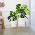 ARNIS Modern Planter Pots, Decorative Planters, Metal Pots by ARNIS