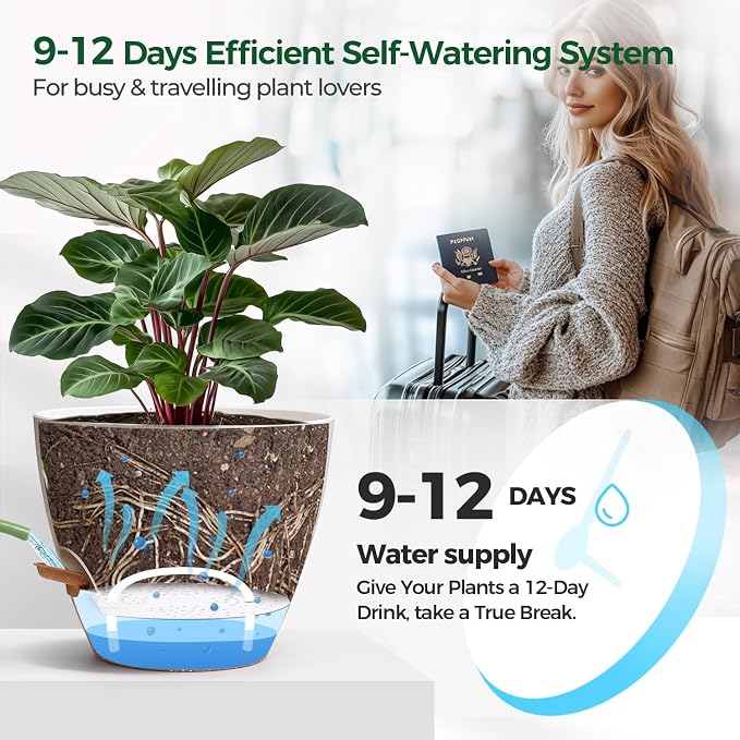 T4U 5 Pack Self Watering Pots - Image 5