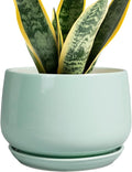 G EPGardening Ceramic Plant Pots by GEPGardening