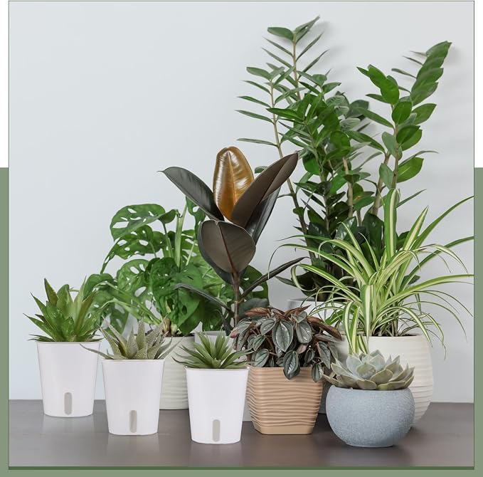50 Pcs 3 Inch Self Watering Pots Self Watering Planters - Image 6