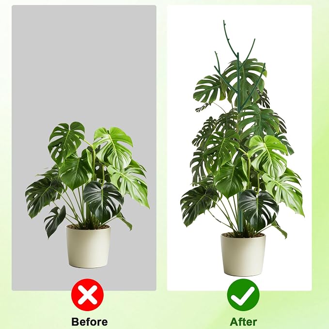 6 Pack Stackable Monstera Plant Support, Plant Stakes - Image 4