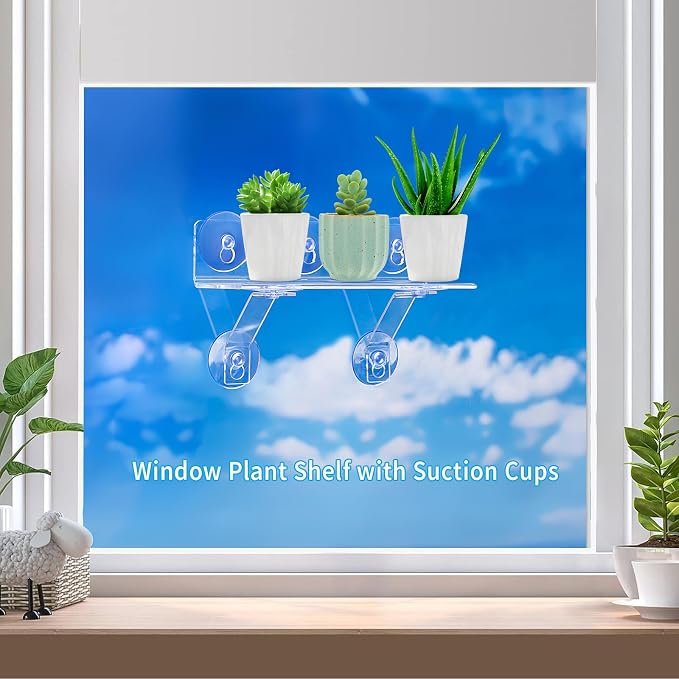 12 Inch 2 Pack Plant Window Boxes Shelf Sill Suction Cup Planter, 5-Inch Extra - Image 3
