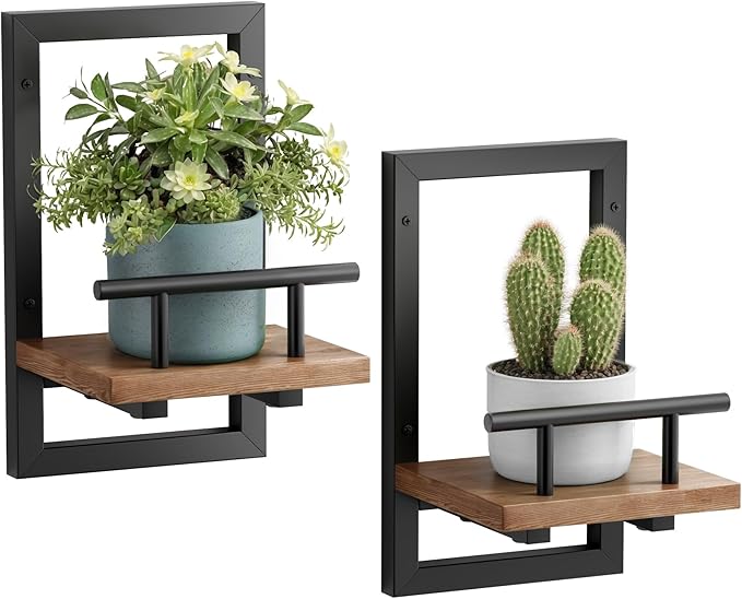 Floating Shelves for Wall, Plant Shelf Indoor, Wall Planters for Indoor by SBOSBO