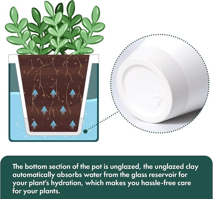 D'vine Dev 4 Inch Design Self Watering Planter - Image 6
