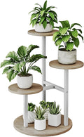 Plant Stand Indoor 4 Tier 5 Potted Multiple Flower Pot Holder by INGIORDAR
