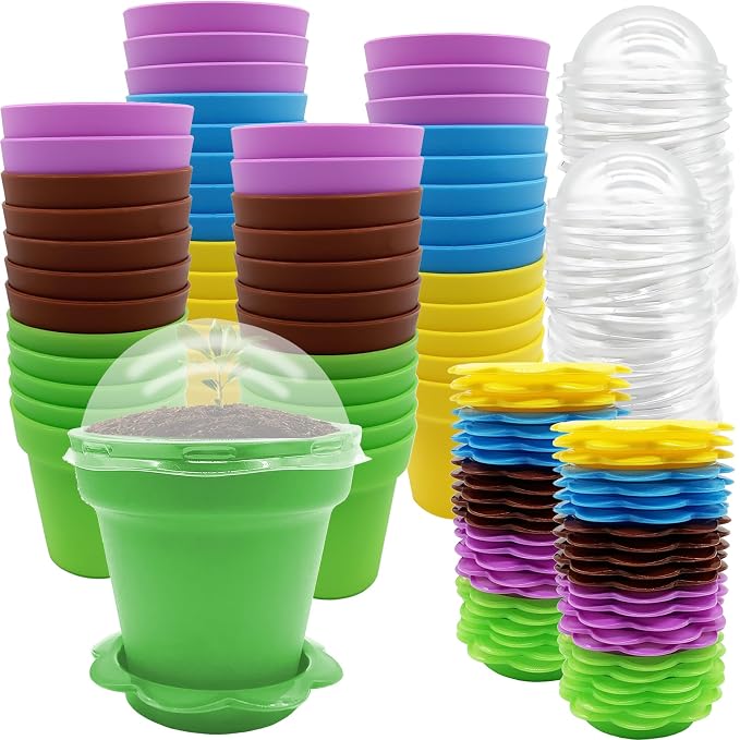 PURPLE STAR 1N 50 Packs Cupcake Plant Nursery Pots by PurpleStar