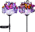 Outdoor Solar Garden Lights by Doingart