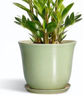 Ceramic Pots for Plants by SUNPOTFOR