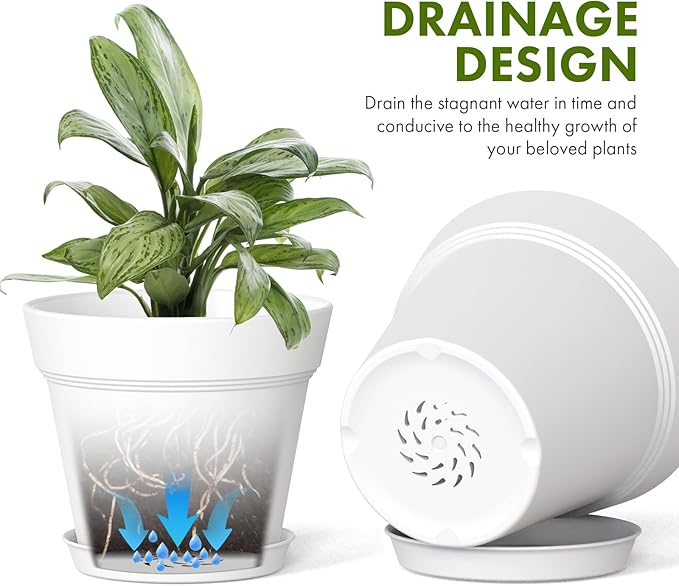 5 Inch Plastic Plant Pots with Drainage Holes and Trays – 6 Pack Small Nursery - Image 4