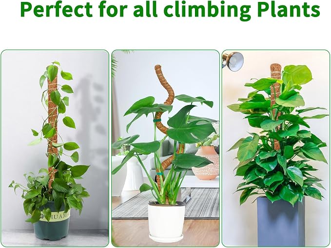 4 Pack 28 Inch Moss Pole Monstera Plant Support, Coir Moss Poles - Image 6