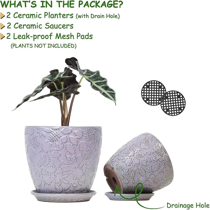 8 Inch + 6 Inch Retro Ceramic Planter Set of 2 - Image 2