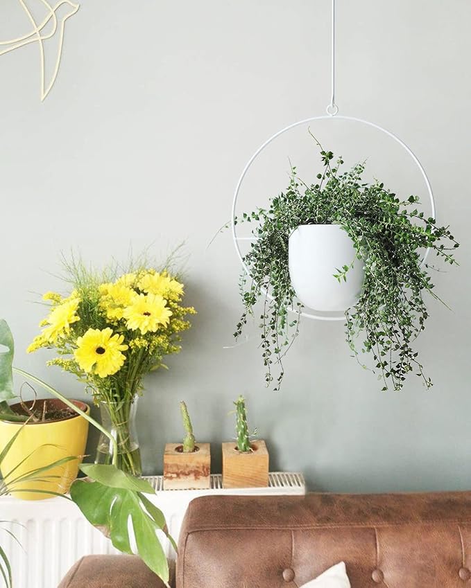 Hanging Planter Indoor Modern Boho Plant Pot Metal Wall and Ceiling Plant Holder - Image 5