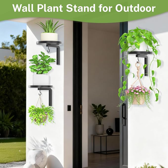iDavosic.ly Wall Plant Holder Set of 3 - Image 5