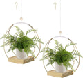 Hanging Planter for Indoor Plants, Plant Hanger by hismocal