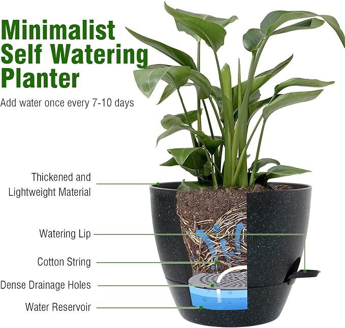 10 inch Self Watering Pots, Plant Pots - Image 5