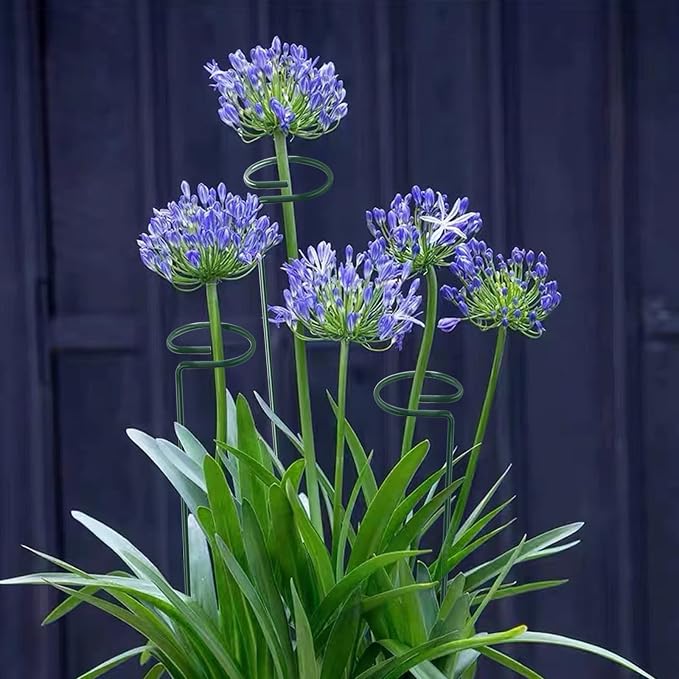 12 Pack 18 Inch Plant Support Stakes, Metal Single stemmed Flower Support - Image 6