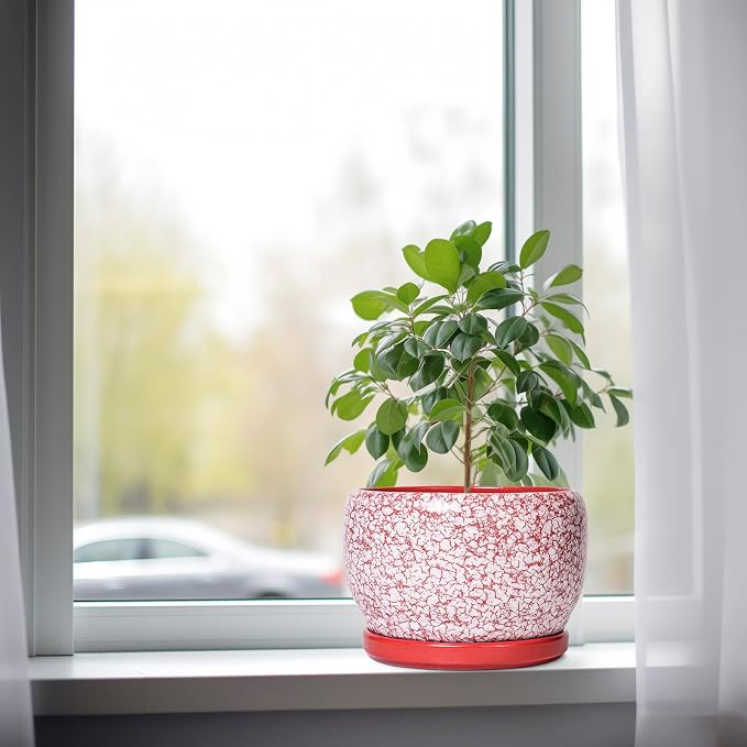 SQOWL Ceramic Pots for Plants - Image 4