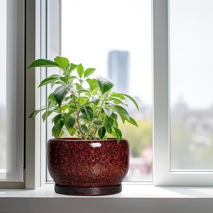 SQOWL Ceramic Flower Pots - Image 4