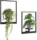 2 Pack Plant Stand Indoor Outdoor Hanging Planters by NUZZERO