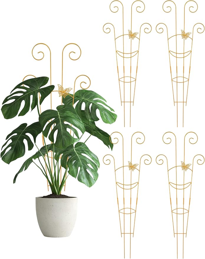 4Pcs Indoor Plant Trellis for Potted Plants, Houseplant Support Stakes for Ivy by Whtawtaw