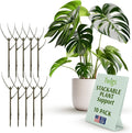 Stackable Plant Support Stakes, Indoor & Outdoor Houseplant Stem Support by TwigsGardenAccessories