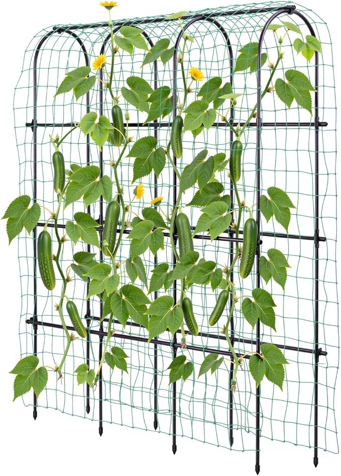 Idzo Arched Trellis for Raised Garden Bed, 70in Stainless Steel Tunnel by Idzo