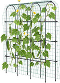 Idzo Arched Trellis for Raised Garden Bed, 70in Stainless Steel Tunnel by Idzo