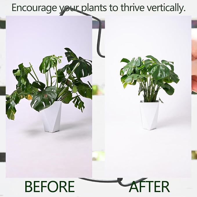 5PCS Black Monstera Plant Stem Support 9x7.6in - Image 3