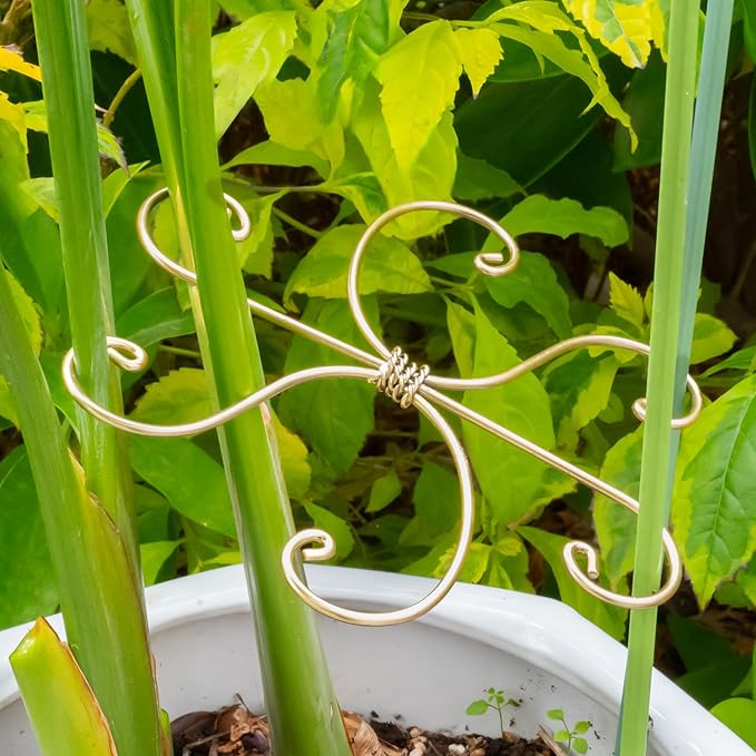 Durable Monstera Plant Support Hooks 5.5in - Image 6