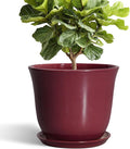 12 Inch Pots for Plants by SUNPOTFOR