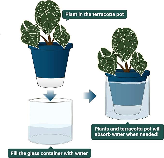 D'vine Dev 6 Inch Design Self Watering Planter - Image 4