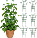 6PCS Plant Support Stakes, Stackable Plant Trellis by Unknown