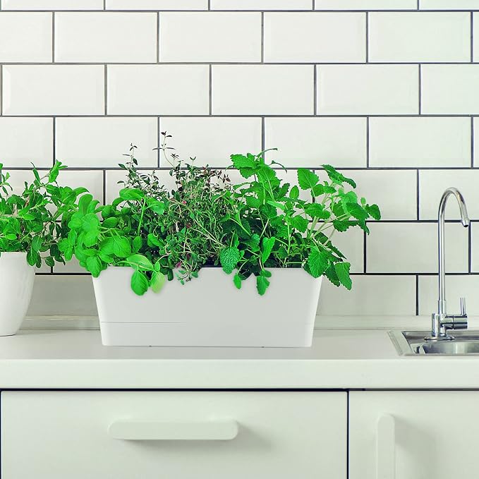 Skelang 3 Pcs Rectangular Plant Pot, Windowsill Container - Image 7