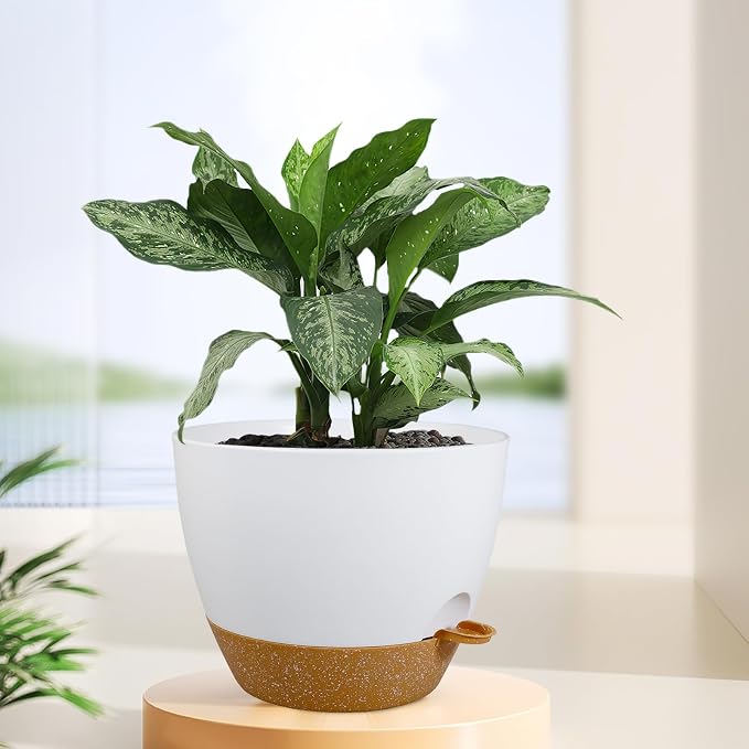 12 inch Large Self Watering Pots - Image 6