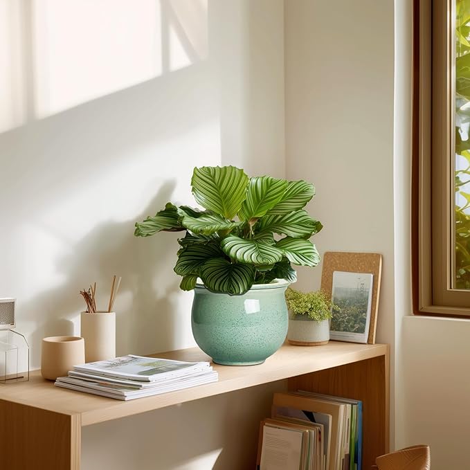 Ceramic Self Watering Pots, 6 Inch African Violet Pots - Image 7