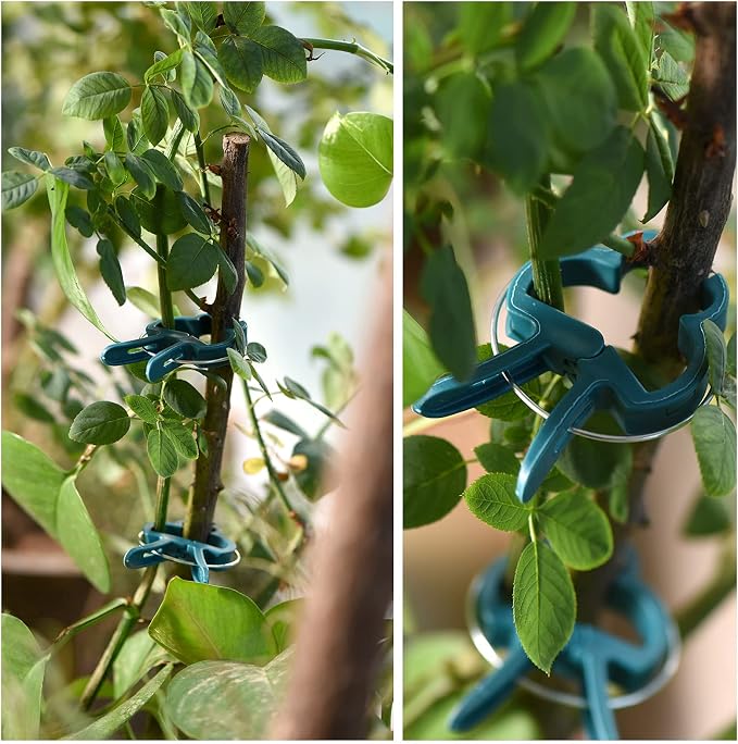 Plant Support Clips, Gardening Lever Loop Gripper Clips Help Stems Vines Grow - Image 4