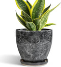 Ceramic Pots for Plants by EPFamily