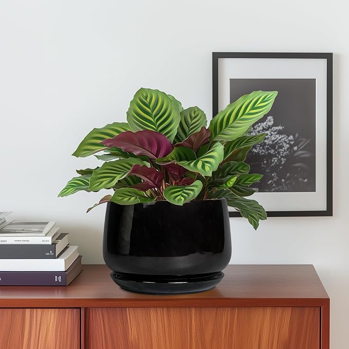 G EPGardening 6 Inch Planter - Image 2